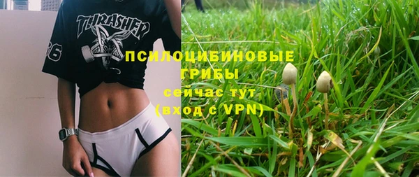 не бодяженный Мегион