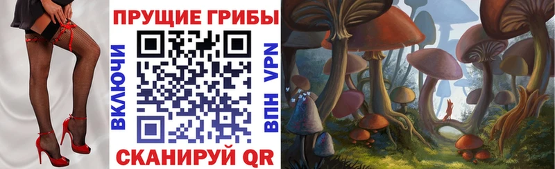 Галлюциногенные грибы Magic Shrooms  Нижний Новгород 