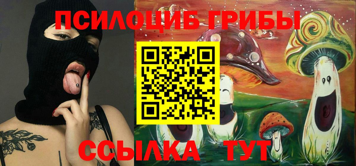 Псилоцибиновые грибы GOLDEN TEACHER  Псилоцибиновые грибы мухоморы  цена наркотик  Нижний Новгород 